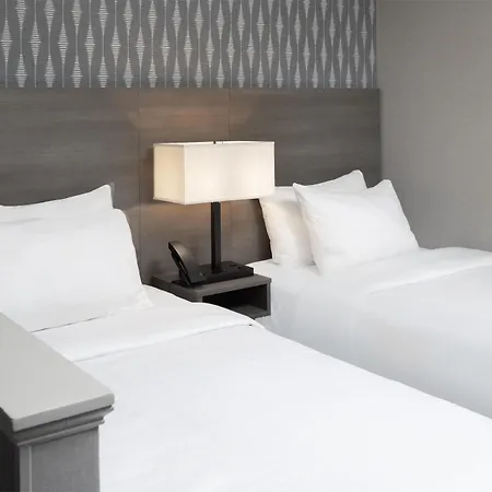 The Midtown Hotel Mod Collection By Sonesta-3